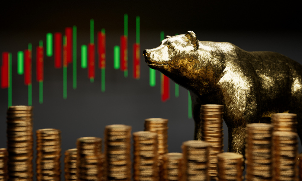 How to Protect Your Retirement Savings in a Bear Market?
